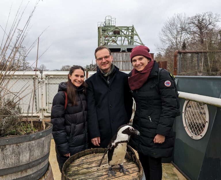 Local Impact - Zoo Penguin