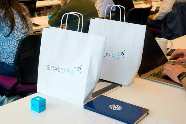 Data Innovators Exchange Community Summit Prizes on Scalefree bags