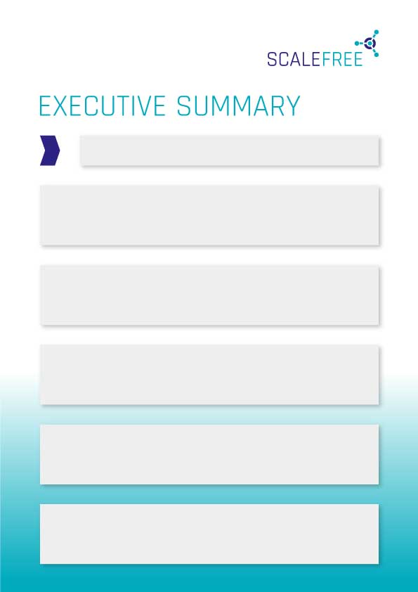 Data Platform Review Executive Summary
